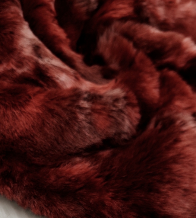 Resize_20251217_113358_8362